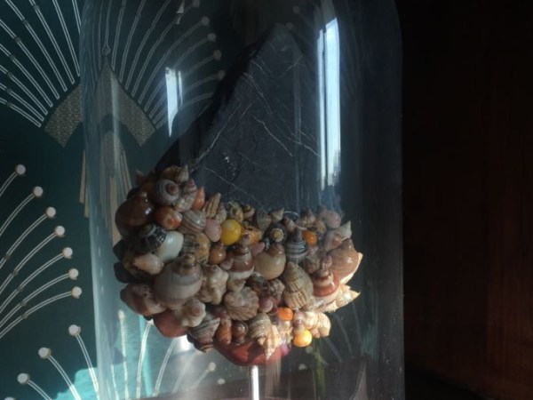 La Montagne Aux&nbsp;Coquillages