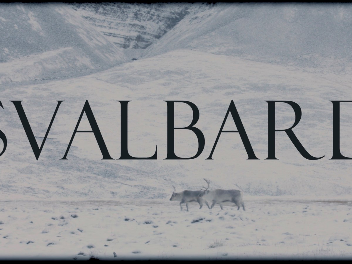 SVALBARD : ABOUT THE&nbsp;ARCTIC