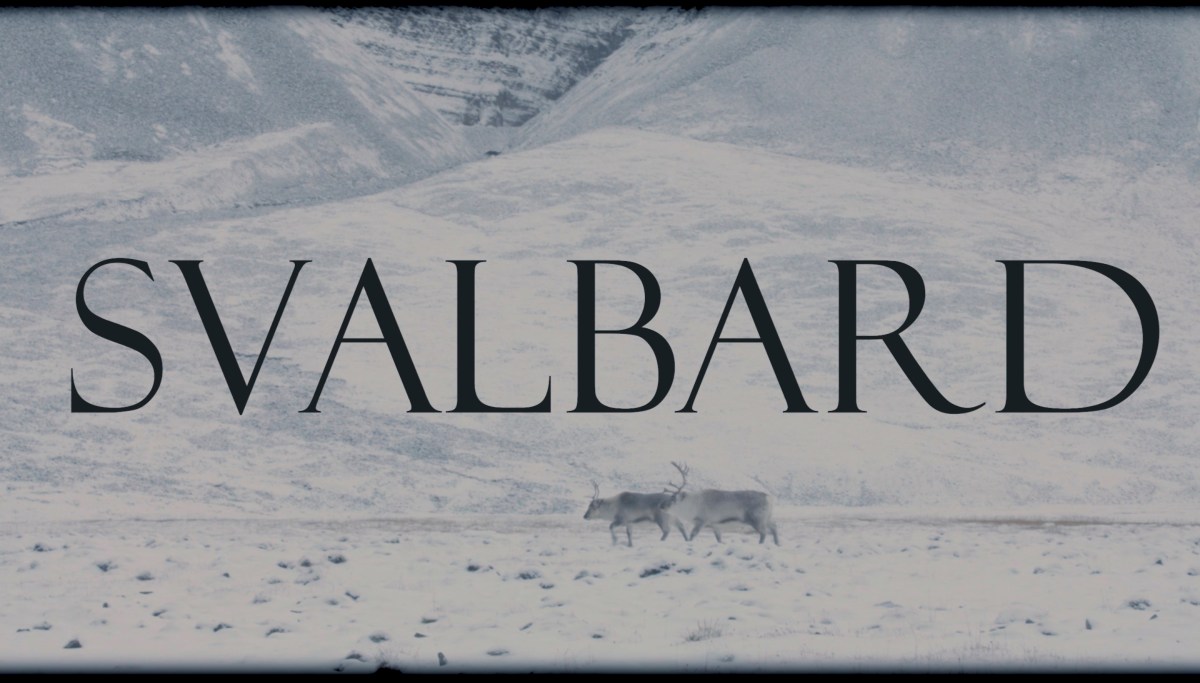 SVALBARD : ABOUT THE&nbsp;ARCTIC